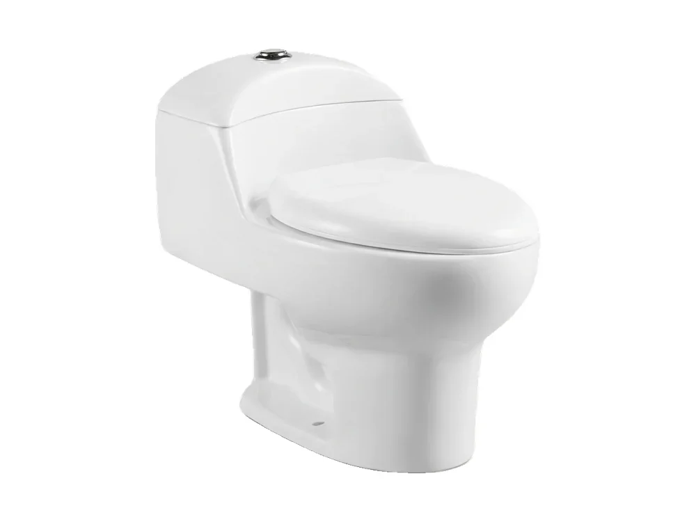 Sanitário Monobloco modelo 01